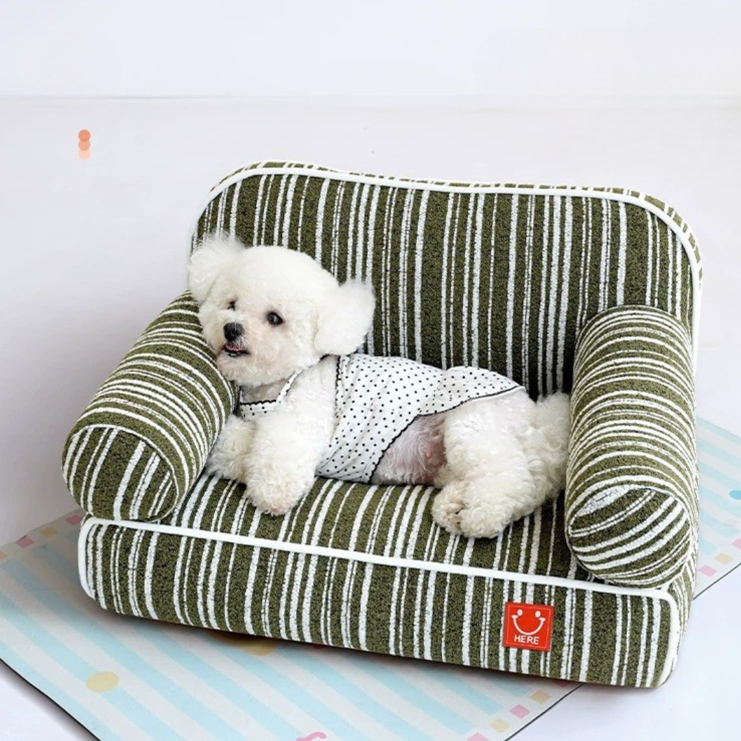 まるで特等席のソファベッド｜Lounge Sofa【犬・猫対応】