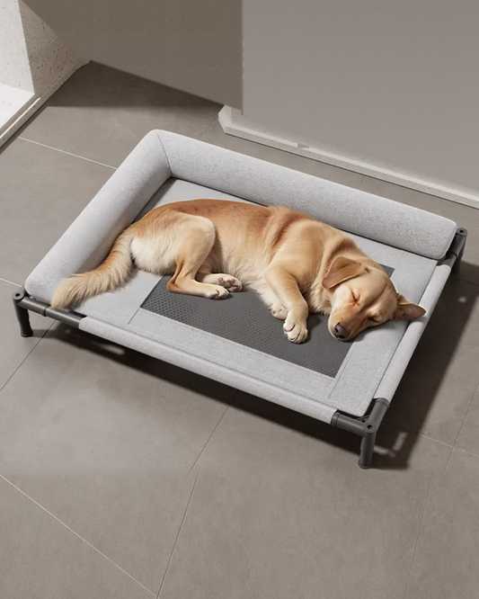 床から浮かせて眠るメッシュベッド｜Sky Bed【犬・猫対応】